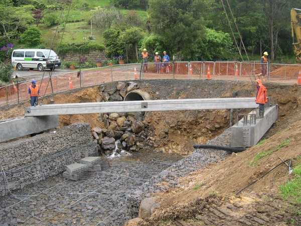 Work on Puhoe Creek